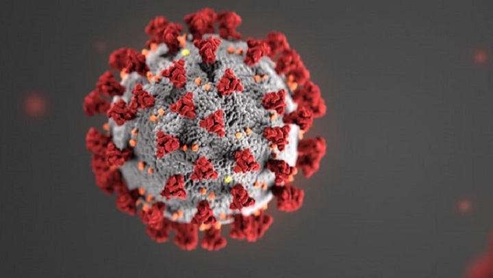 coronavirus