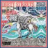 dirty streets white horse