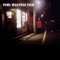 fowl weather vein cvr