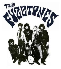 fuzztones logo