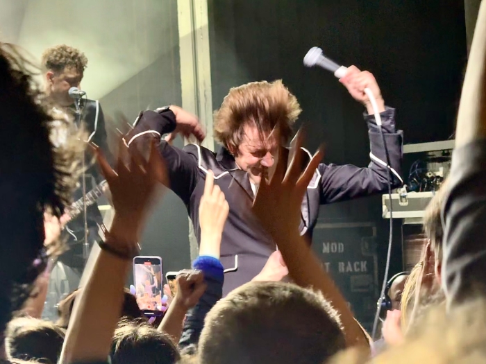 hives enmore pelle