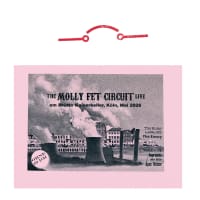 molly fet circuit bootleg