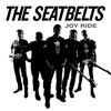 seatbelts