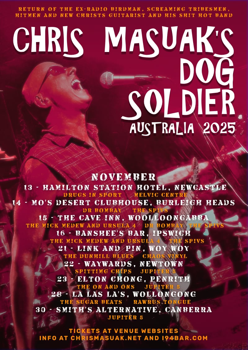 DOG RUN V1 WEB
