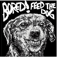 feed the dog