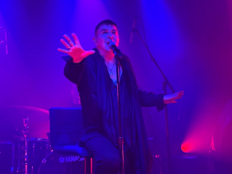 soft cell hero image