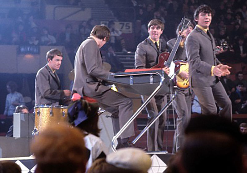 the animals 1964